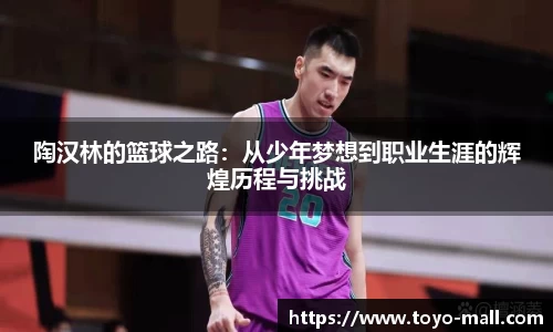 陶汉林的篮球之路：从少年梦想到职业生涯的辉煌历程与挑战